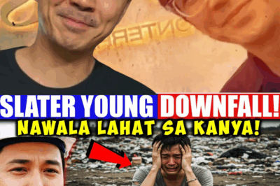 Pag-angat at Pagbagsak: Paano Naitulak sa Gitna ng Kontrobersiya ang Dating Hinirang na “Model Engineer” na si Slater Young?