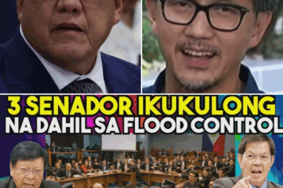 Tatlong Senador Posibleng Makulong Bago Pasko sa Gitna ng Bilyon-Pesong Flood Control Scandal