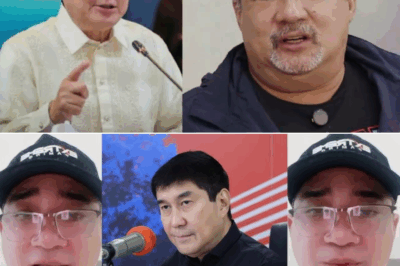 Anjo Iliana, Humihingi ng Tulong sa Abogado Laban kay Raffy Tulfo Dahil sa Matagal Nang Paninirang-Puri