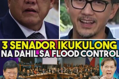 P10 Bilyong Pondo ng OWWA, Pinangangambahan: Isang Whistleblower, Idinadawit ang Tatlong Senador sa Umano’y Malawakang Anomalya