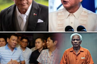 The Alliance Under Siege: Duterte’s Shocking “Revelation” to Marcos Alleging Destabilization Plot