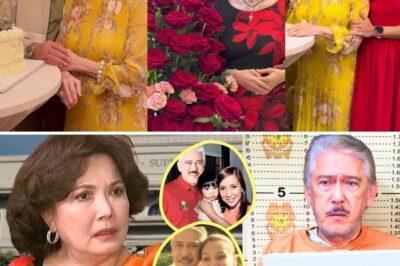 💔 The End of an Era: Helen Gamboa’s Emotional Testimony and the National Crisis of Trust Fueled by Allegations Against Tito Sotto