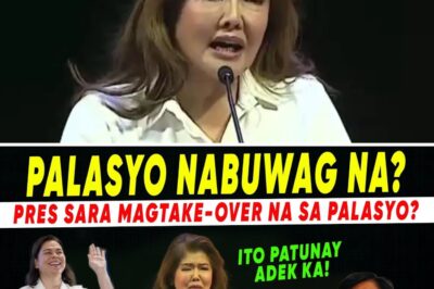 💥 A Sister’s Plea and a Nation’s Crisis: Senator Imee Marcos Alleges President’s Health Compromises the Highest Office
