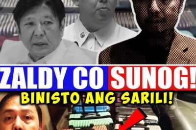 The PHP 100 BILLION Catastrophe: Whistleblower Zaldy Co’s Explosive Exposé Becomes a Blueprint for His Own Legal Accountability