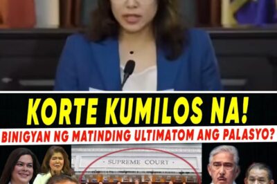 A Constitutional Earthquake: Supreme Court’s Shock Ultimatum Blindsides Palace, Senate, and Congress, Demanding Answers on Billion-Peso Projects That Could Redefine the Balance of Power