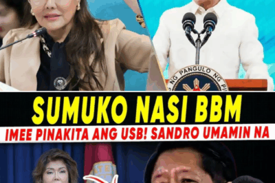Mainit na Sagupaan: Pamilya Marcos, Binalot ng Intriga, Hamunan, at Mga Akusasyong Yumanig sa Publiko