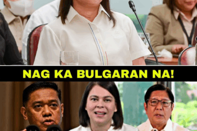 Mainit na Banggaan sa Politika: Mga Paratang, Rally, at Patuloy na Sigalot sa Gitna ng Usapin ng AFP at Suporta kay Pangulong Bongbong Marcos