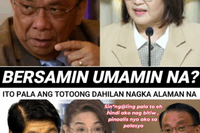 Lucas Bersamin Tinutukan ang Malakanyang: Allegasyon ng Php100-B Insertion sa 2025 Budget, Impeachment ng Pangulong Marcos Binuo