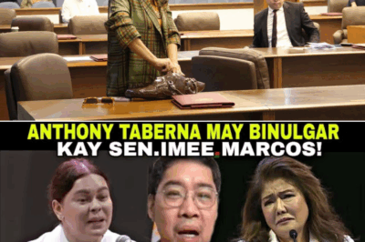 Pagputok ng Isyu: Pahayag ni Anthony Taberna at ang Kontrobersya sa Talumpati ni Sen. Imee Marcos sa INC Peace Rally