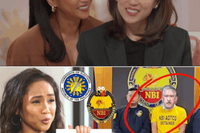 Rochel Pangilinan, Matapang na Humarap sa Industriya at Pulitika: Kaso laban kay Tito Soto, Simula ng Malawak na Diskurso sa Hustisya