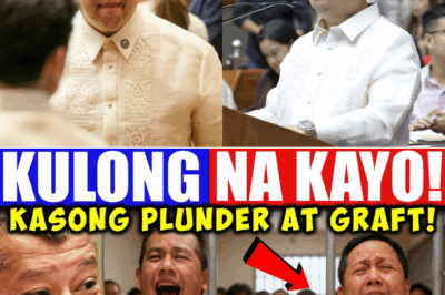 Malalaking Pangalang Pulitiko, Hinaharap ang Plunder at Graft: Ano ang Totoong Nangyari sa Flood Control Funds?
