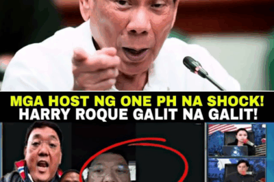 NBI Mas Pinaigting ang Paghahanap: Warrant of Arrest Kina Zaldy Co at Harry Roque Umani ng Matinding Reaksyon sa Publiko