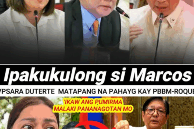 Pananahimik ni VP Sara Duterte Nauga: Mga Pahayag nina Harry Roque, PAOCC at Isyu sa 2025 Budget Nagpainit sa Publiko