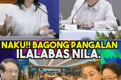 Senado at Palawan Shocked: Bagong Testimonya ng Insider Nagsiwalat ng Multibilyong Pesos na Korupsyon at Hindi Pa Lahat ng Pangalan ang Lumalabas