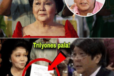 Imelda Marcos, Naglabas ng Mga Ebidensya Laban kay Bongbong Marcos: Trilyong Piso at Malawakang Imbestigasyon, Nagsisimula na