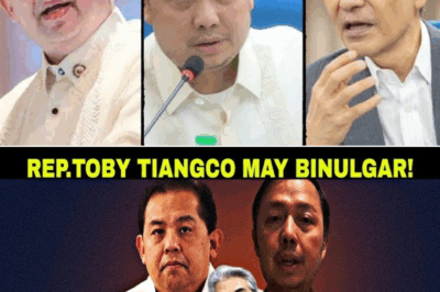 PBBM daw nagtanong ng “Gaano karami pang pera ang gusto n’yo?”—Pagbubunyag ni Rep. Tiangco laban kina Zaldy Co at Martin Romualdez, yumanig sa publiko