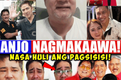 Anjo Yllana Huminto, Humingi ng Tawad, at Nagbago: Ang Buong Kwento sa Likod ng Kanyang Biglaang Pagsisisi