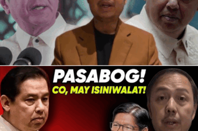 Zaldy Co Naglabas ng Mabibigat na Paratang: “56 Bilyon ang Ipinadala Ko Kina Marcos at Romualdez”—Mga Bagong Resibo at Testimonya, Ibinunyag