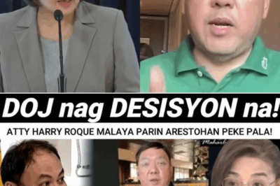 Harry Roque Nilinaw: Hindi Naaresto sa Netherlands, Lumantad ang Detalye ng Asylum at Medical Issues