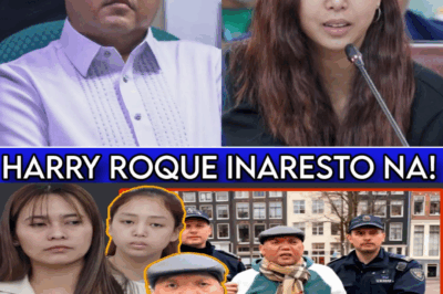 Harry Roque, Asylum Seeker sa Netherlands, Passport Kinansela ng RTC Pasig: Buong Kwento ng Kontrobersya at Karapatang Pantao