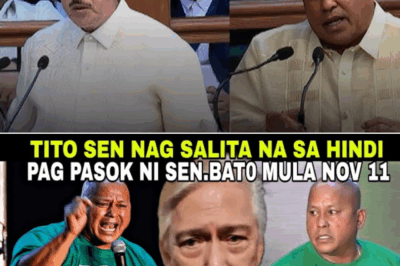 Pagkatapos ng ICC Warrant Update: Sen. Bato De la Rosa, Biglang Nawala sa Senado at Hinahanap na ng Taong Bayan