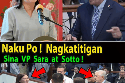 VP Sara at Senado, Nagkatinginan: Mga Allegasyon sa Bigas, SOP Collections at Kontrol ng Pamilya Marcos, Tumaas ang Init sa Pulitika