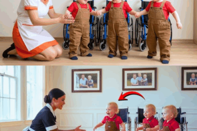 Katatakutan ng Isang Ama: Ang Milyonaryo ay Nag-install ng Mga Nakatagong Camera para Masubaybayan ang Kanyang Paralisadong Triplets at Nakuha ang Hindi Mapagkakaila na Ebidensya ng Malupit na Pagkakanulo