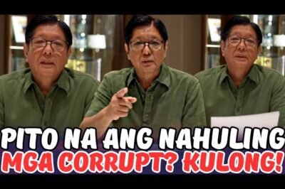 The Uncompromising Hammer: President PBBM Unleashes New Video Confirming the Initial Shock Arrests and Issuing an Urgent, High-Stakes Ultimatum to the Elite Syndicate Threatening to Collapse the Nation’s Infrastructure