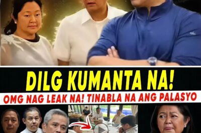 PALACE IN PERIL: Jonvic Remulla Allegedly Breaks Silence as Shocking Rumors of ‘Arrest’ for the President Swirl, Unmasking the Dark Power Struggle Between the First Lady, Sandro, and Recto in a Massive Political Betrayal