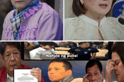 Trolls at Disinformation: Ang Matapang na Hamon ni Robin Padilla sa PCO at Ang Katotohanan sa Likod ng Nakakagulat na Headline