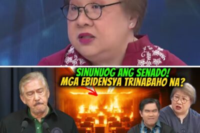 LEGAL FIREOSTM ERUPTS: Shocking Allegations of ‘Manipulated’ Evidence and a Brutal Debate Clash Leave Critics Stunned as Atty. Malou Allegedly Dismantles Falcis’ Narrative in a Public Showdown