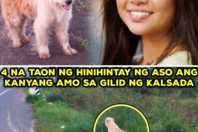 4 NA TAON NG HINIHINTAY NG ASO SA KANYANG AMO SA GILID NG KALSADA NAKA2GULAT ANG SUMUNOD NA NANGYARI