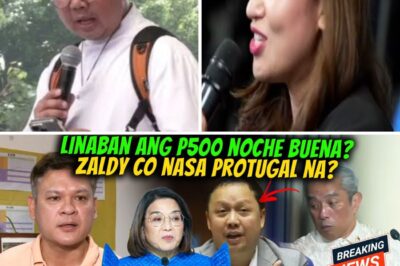 Chaos Erupts: Jonvic Remulla Fumbles in Tense Presser While Congressman Pulong Duterte Delivers a Savage Reality Check to Palace Official Claire Castro Over “Insulting” Noche Buena Remarks!