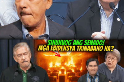SINUNOG O NASUNOG? ANG LALIM NG KASO: PRO MALOU LINAMPASO SI FALCIS SA HARAP NG MGA EBIDENSYA